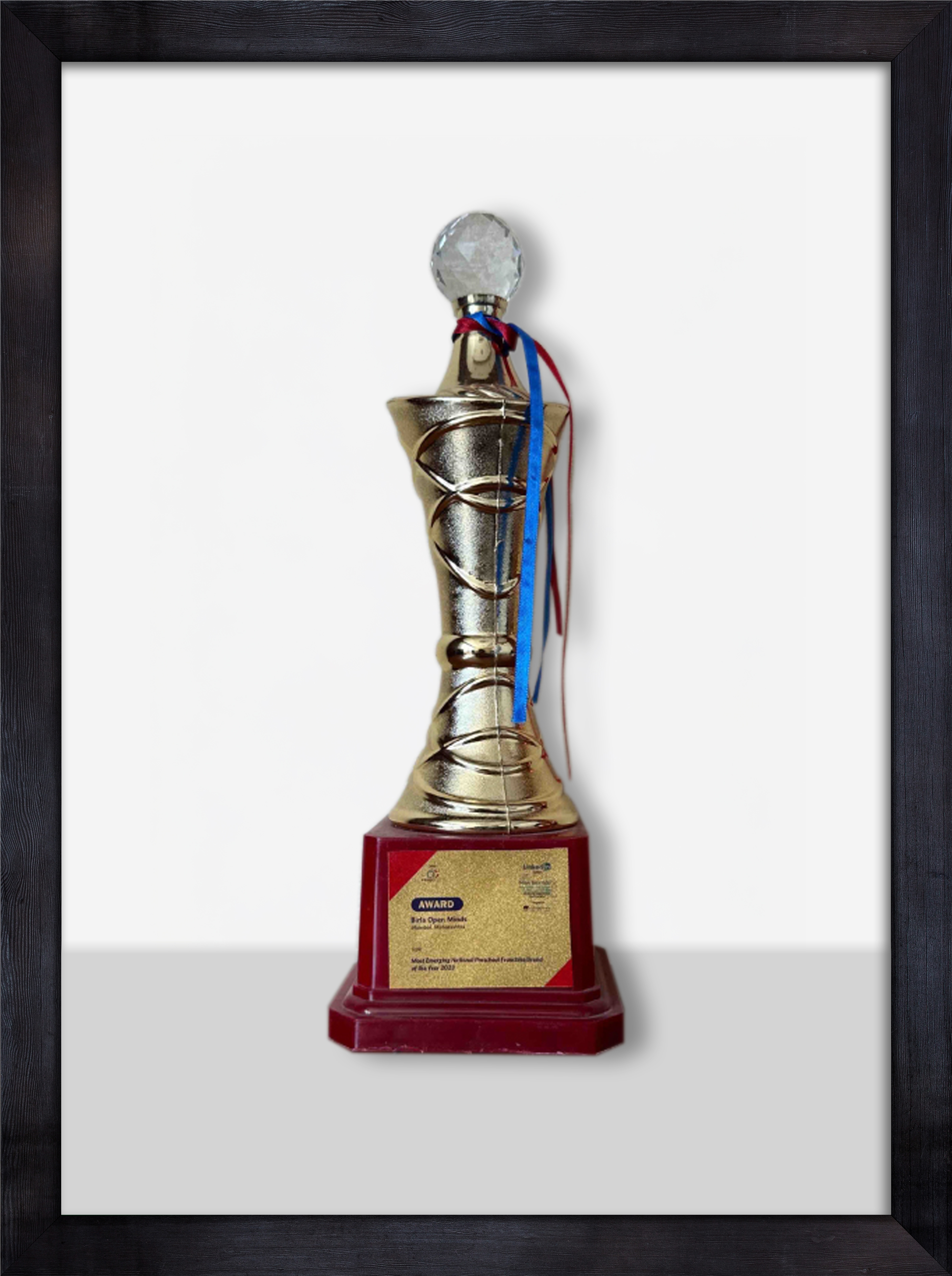 Award Portrait